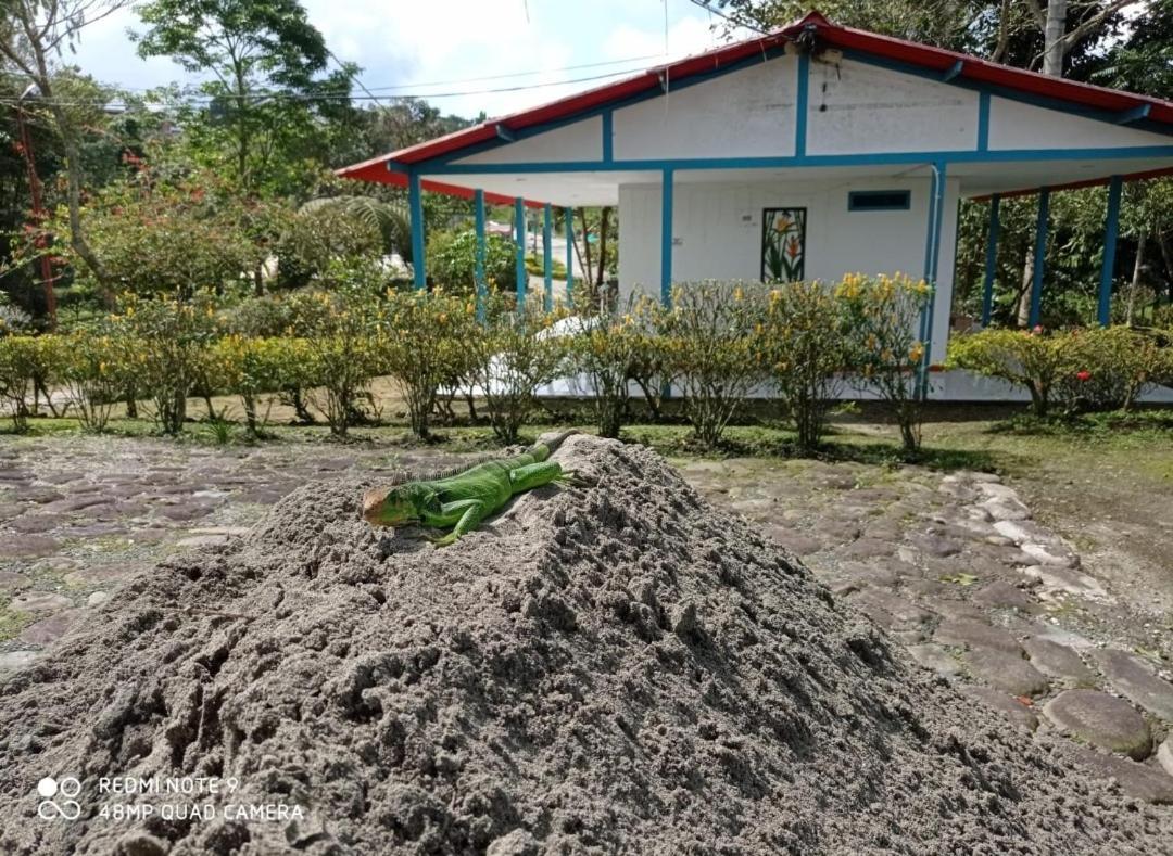 Hostal Campestre El Santuario Filandia Kültér fotó