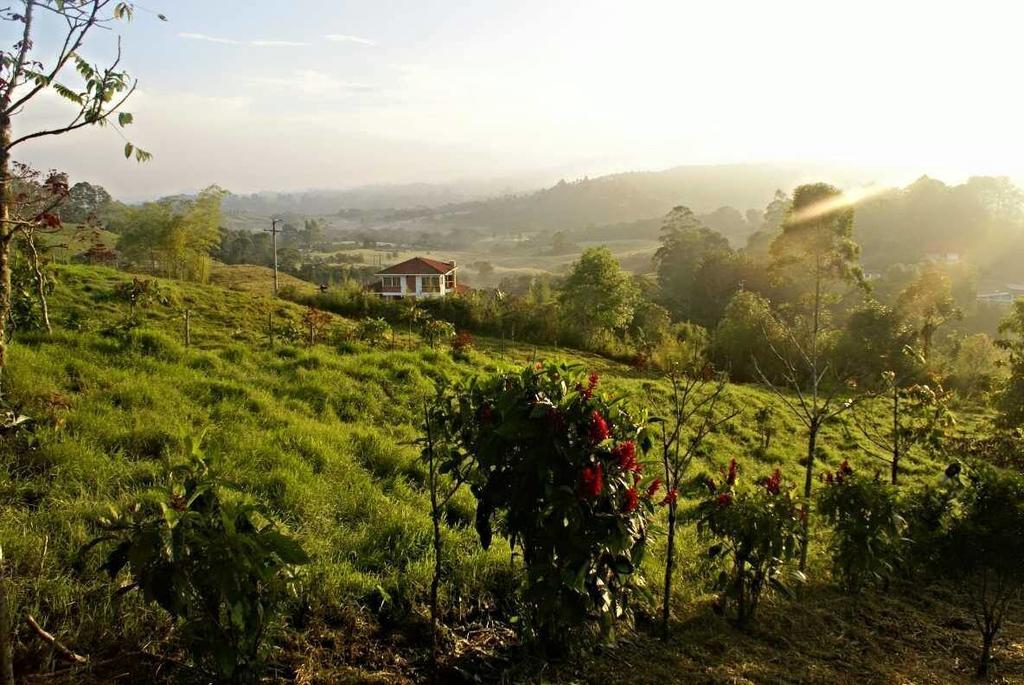 Hostal Campestre El Santuario Filandia Kültér fotó