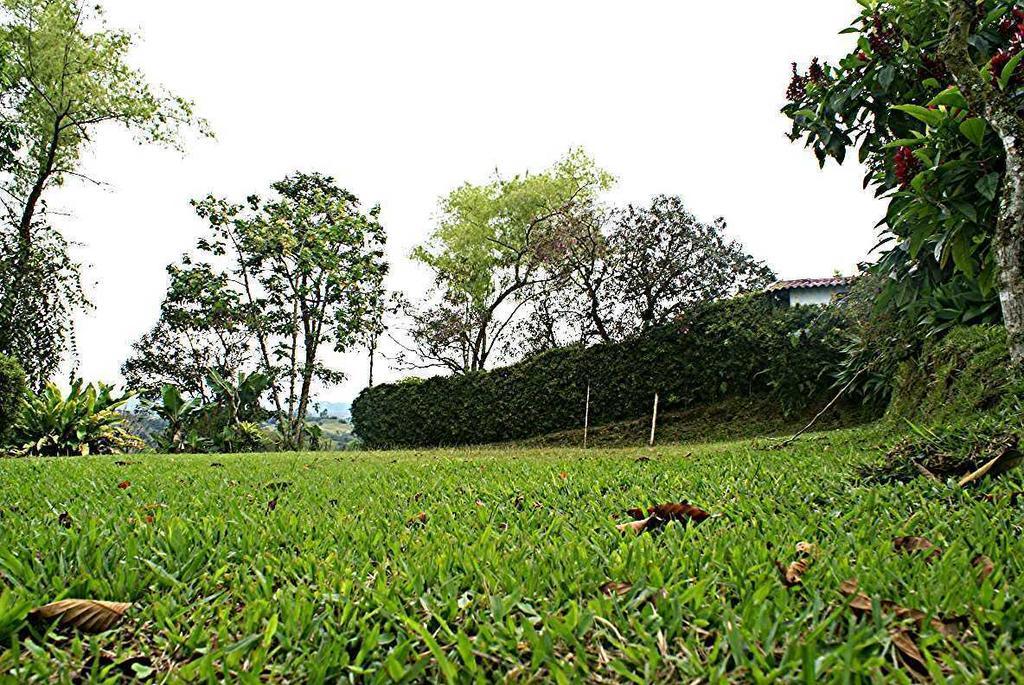Hostal Campestre El Santuario Filandia Kültér fotó