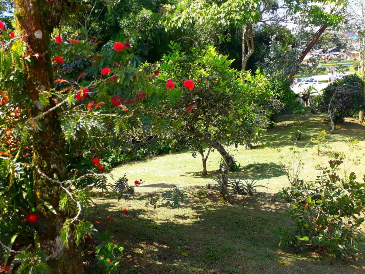 Hostal Campestre El Santuario Filandia Kültér fotó